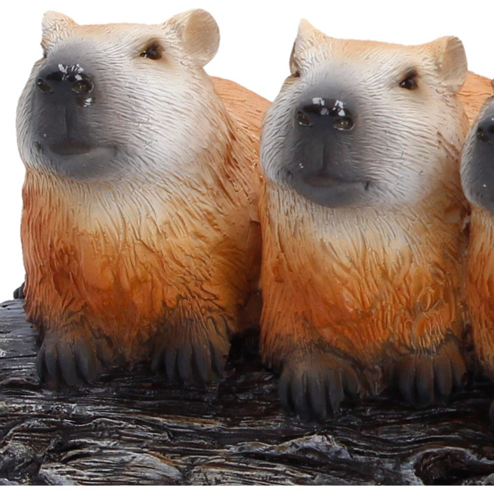 Capybara Herd