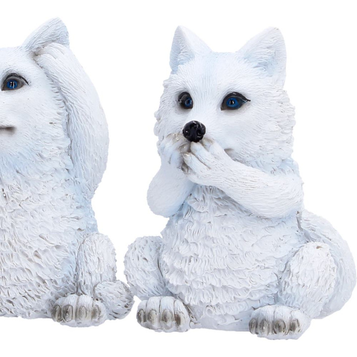 Three Wise Wolf Pups