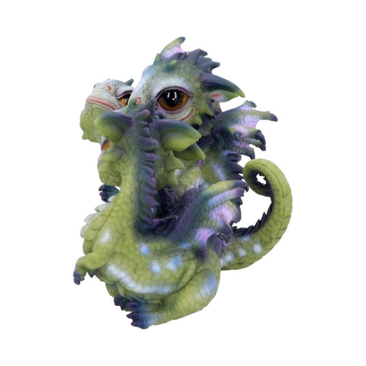 Curious Hatchlings (Set o