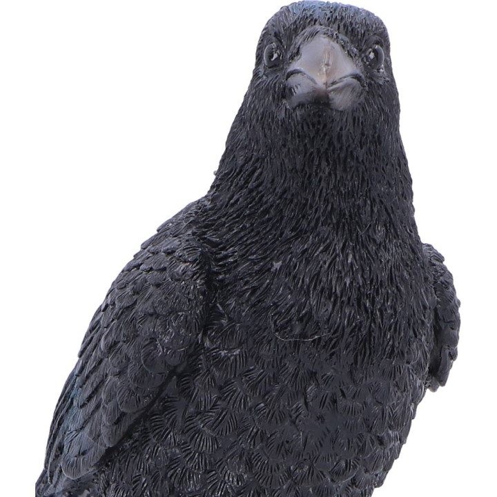 Nevermore Vigil