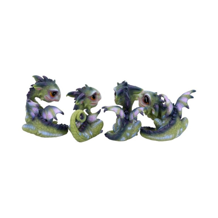 Curious Hatchlings (Set o