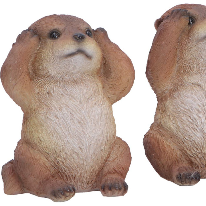 Three Wise Otters