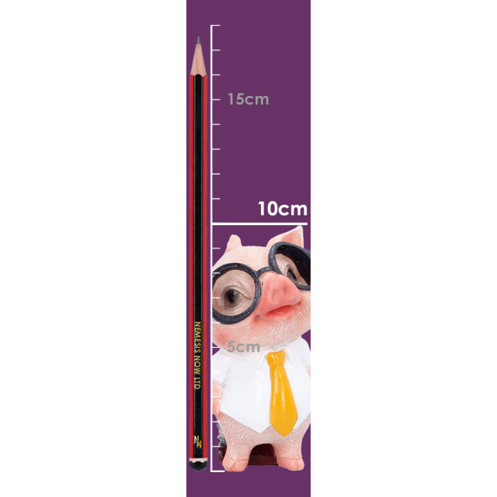 Porter 10cm