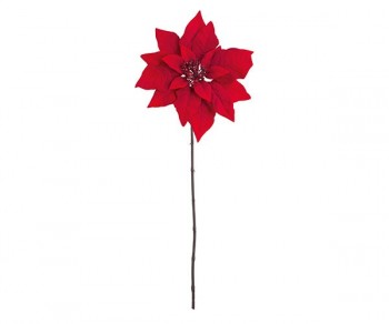 STELLA DI NATALE ROSSA...