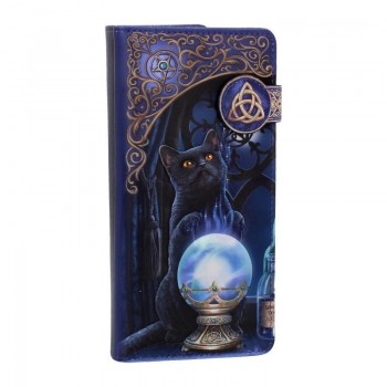 The Witches Apprentice...