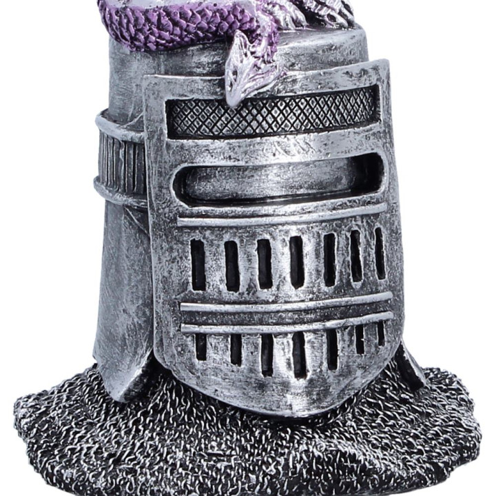 Hatchling Helm (Purple)