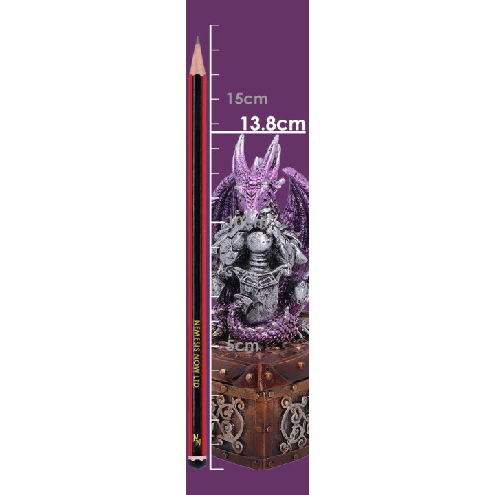 Hoard Protector Box (Purp