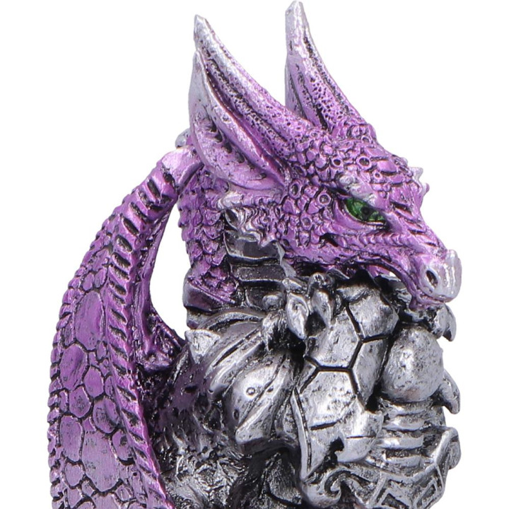 Hoard Protector Box (Purp