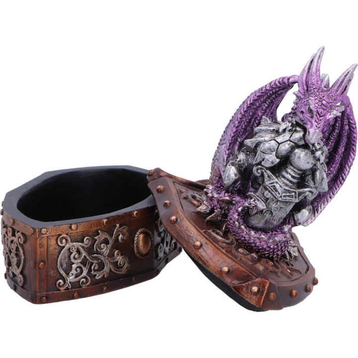 Hoard Protector Box (Purp