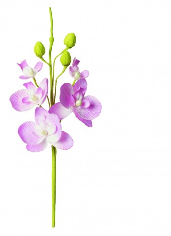 PICK 3 ORCHIDEE LILLA H.195...