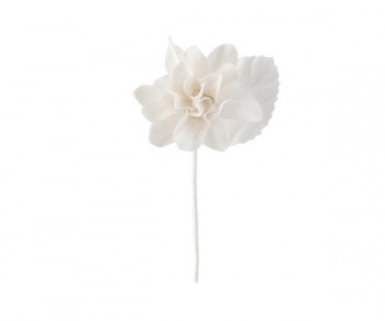 FIORE AVORIO COTONE