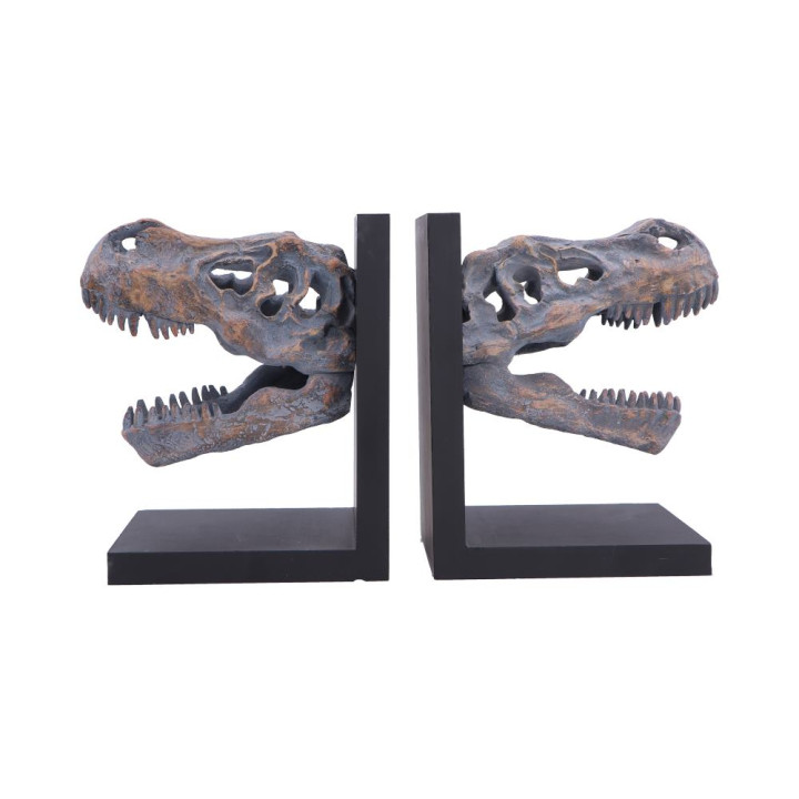 Tyrannosaurus Rex Skull B