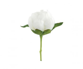PICK BOCCIOLO PEONIA BIANCA...