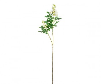 RAMO ACACIA BIANCA 800...