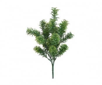 RAMETTO MUSCHIO 320 (Min. 24)