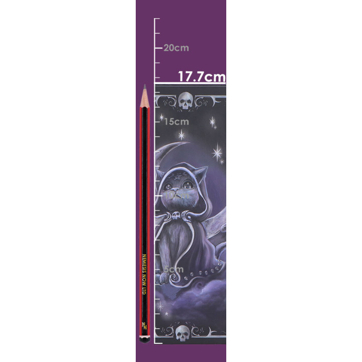 Zefur Journal 17cm
