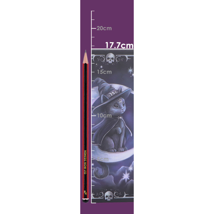 Purrah Journal 17cm
