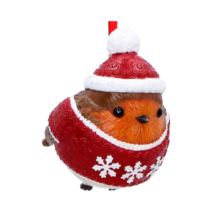Robin Winter Warmth Hangi
