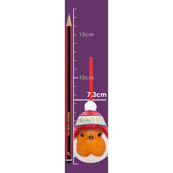Robin Winter Bobble Hangi
