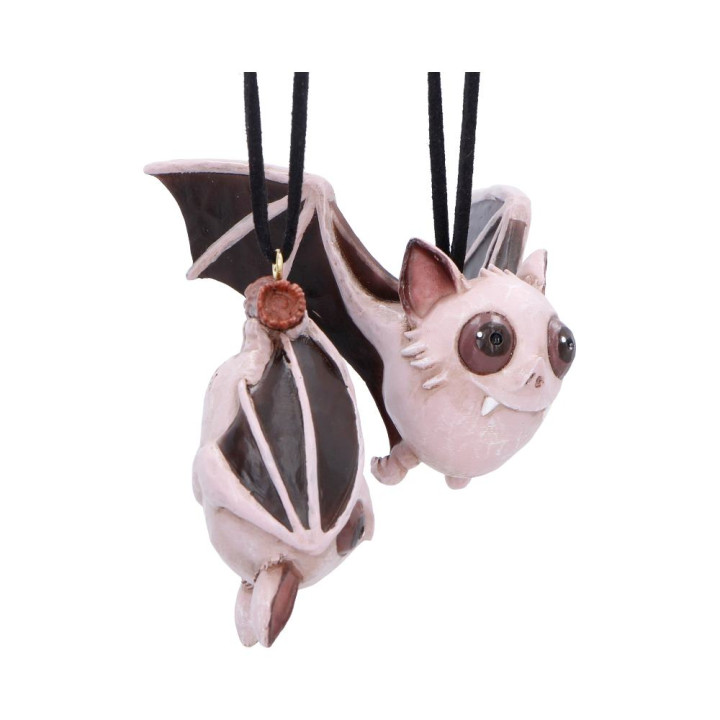 Sneak and Peak Hanging Or