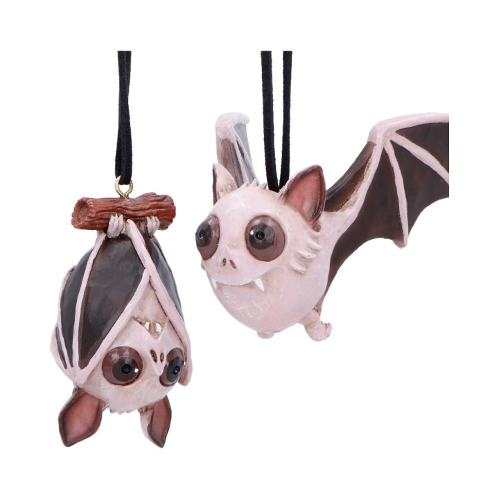 Sneak and Peak Hanging Or