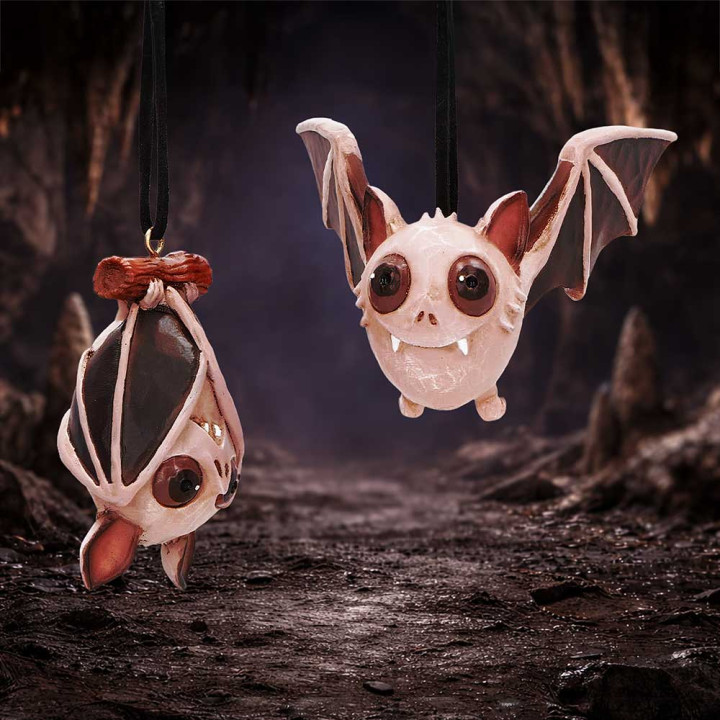 Sneak and Peak Hanging Or