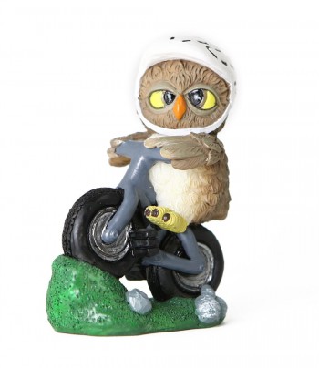 Funny Collection Gufo...