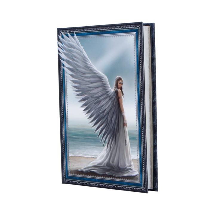 Spirit Guide Journal (AS)