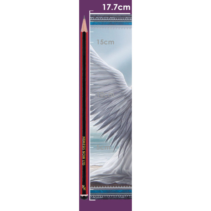Spirit Guide Journal (AS)