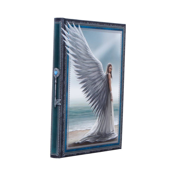 Spirit Guide Journal (AS)