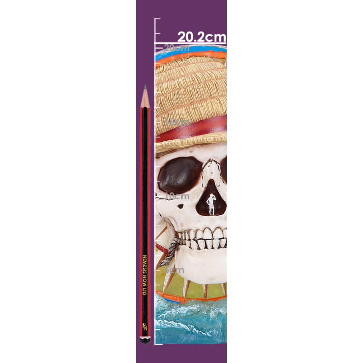 One Piece Jolly Roger LED