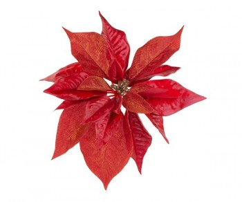 STELLA NAT. ROSSA C/CLIP...