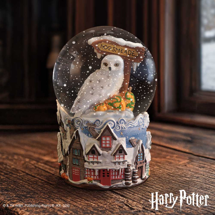 Harry Potter Hogsmeade Vi
