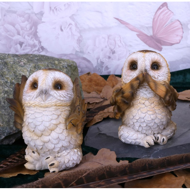 Three Wise Brown Owls 7,5