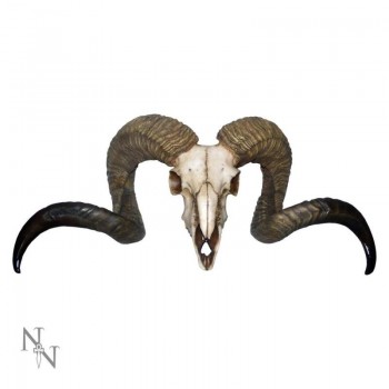 Diablo 58cm