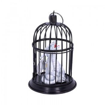 Pearl Pet 8cm