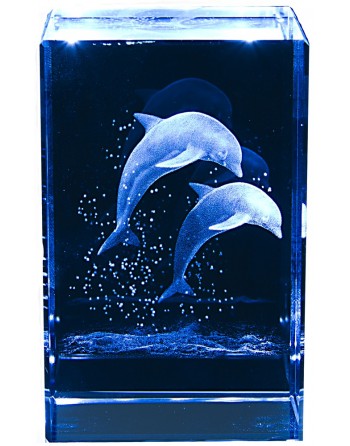 Crystal Cube Dolphins 8cm 6/36
