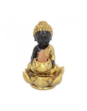 Baby Buddha Backflow...