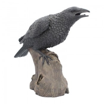 Ravens Cry 35cm