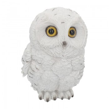 Winters Wisdom 19cm