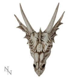 The Last Dragon Skull 32c
