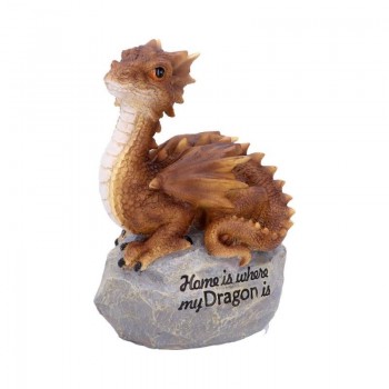 Home Is Where My Dragon Is...