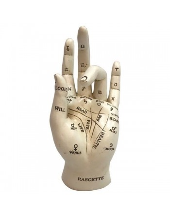 Palmistry 17.7cm
