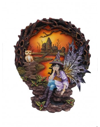 Fada Bruxa Com Casa 24*27...