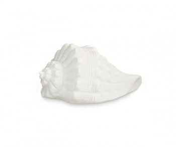 CONCHIGLIA BIANCA C/LED 115...