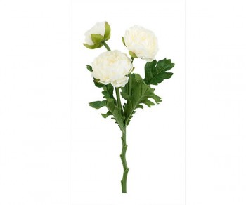 BAMBINA C/VESTITO BIANCO...