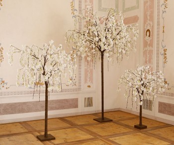 CILIEGIO BIANCO 288 LED...