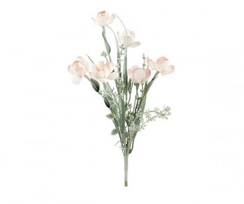 MAZZETTO BOTAN.6 CORNIOLI...