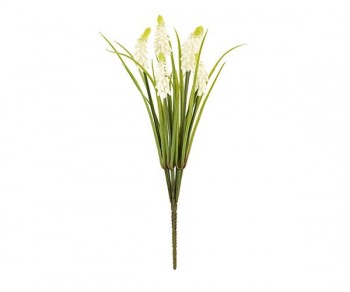MAZZO 7 MUSCARI BIANCHI...