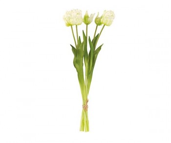 MAZZO 5 TULIPANI BIANCHI...